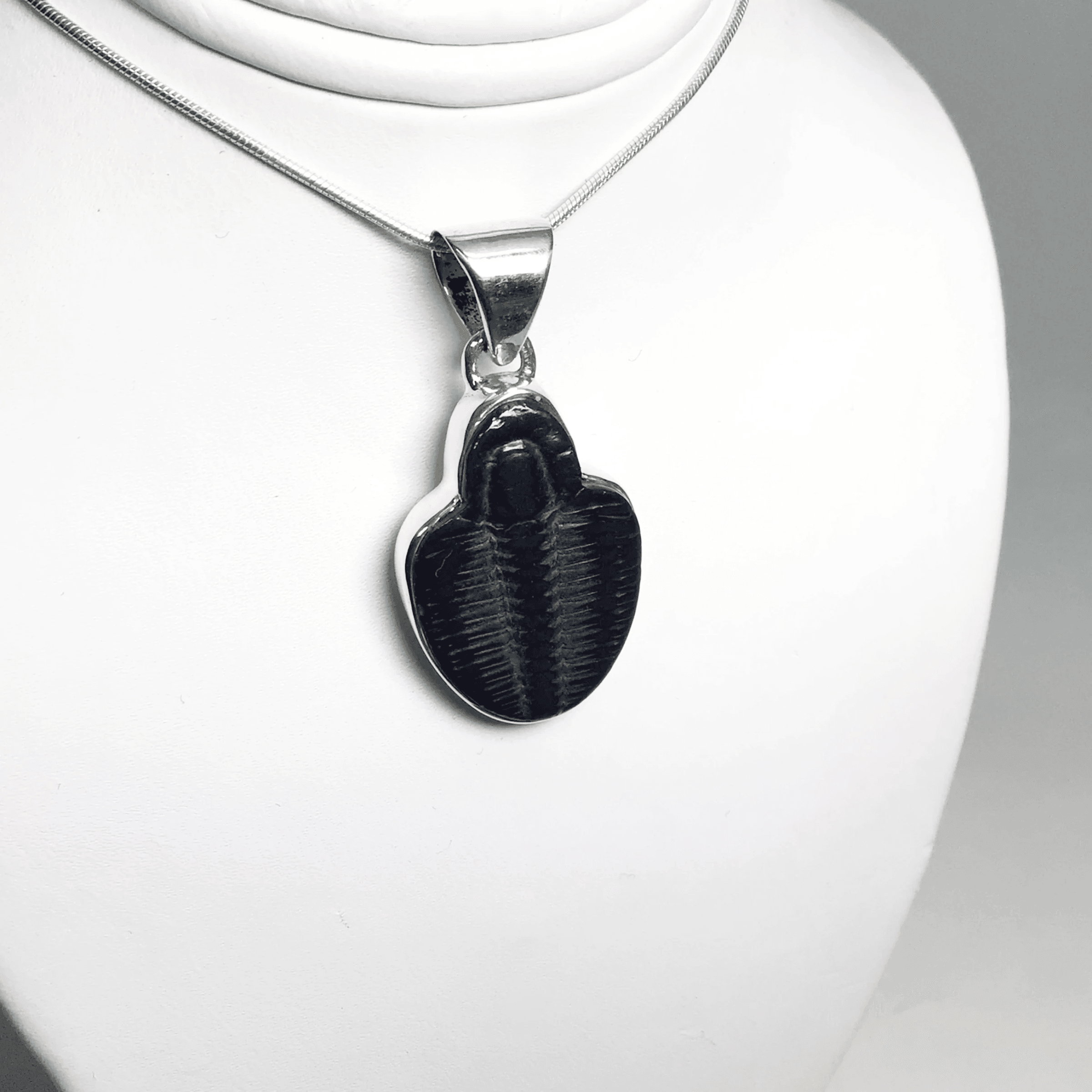 Trilobite Jewellery - Rocks and Gems Canada