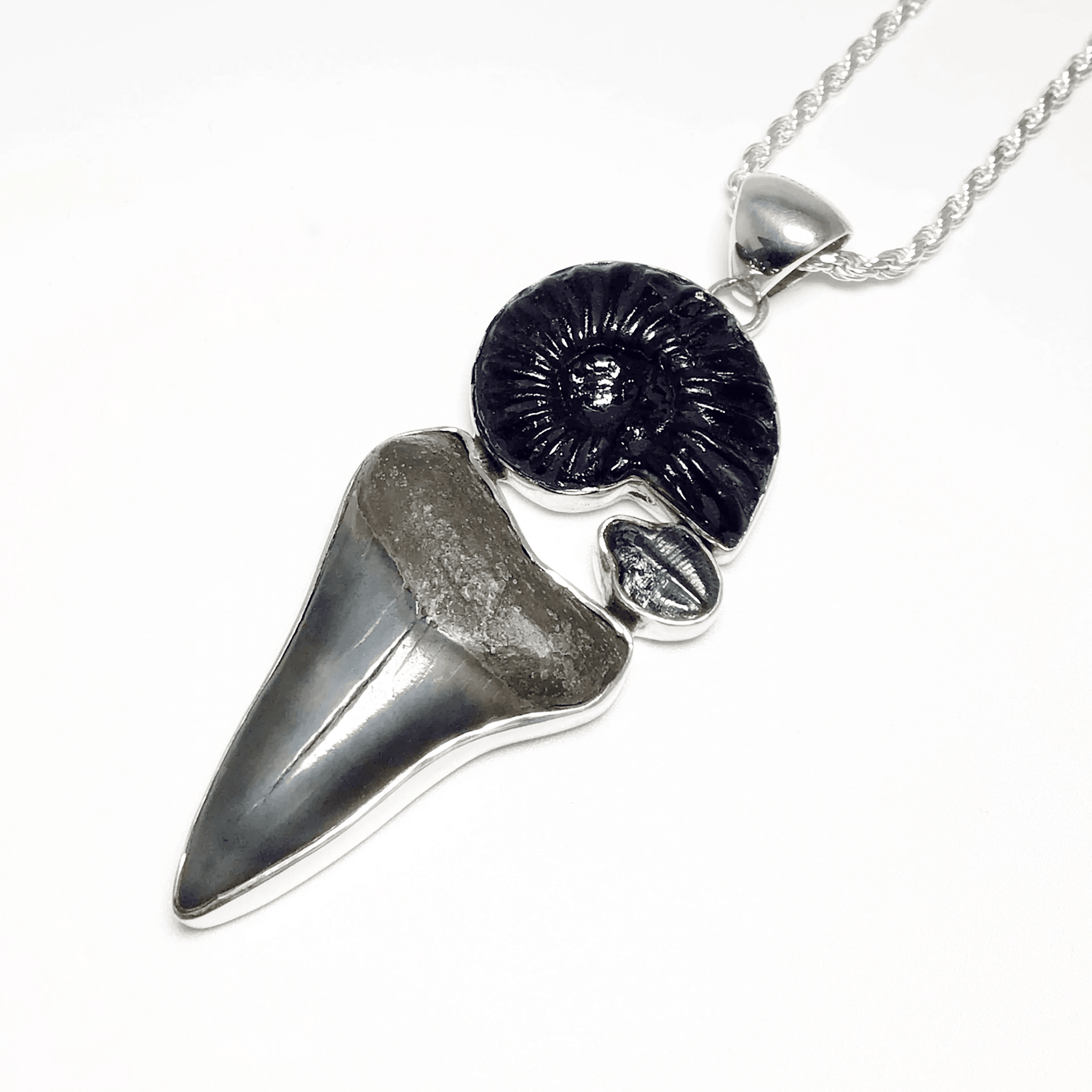 Shark Tooth Jewellery - Rocks and Gems Canada