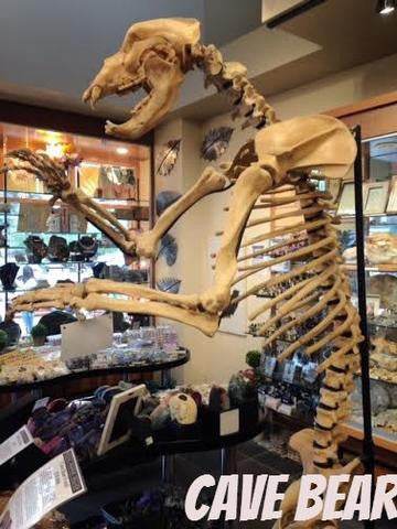 Jaw Droppers - Rocks and Gems Canada