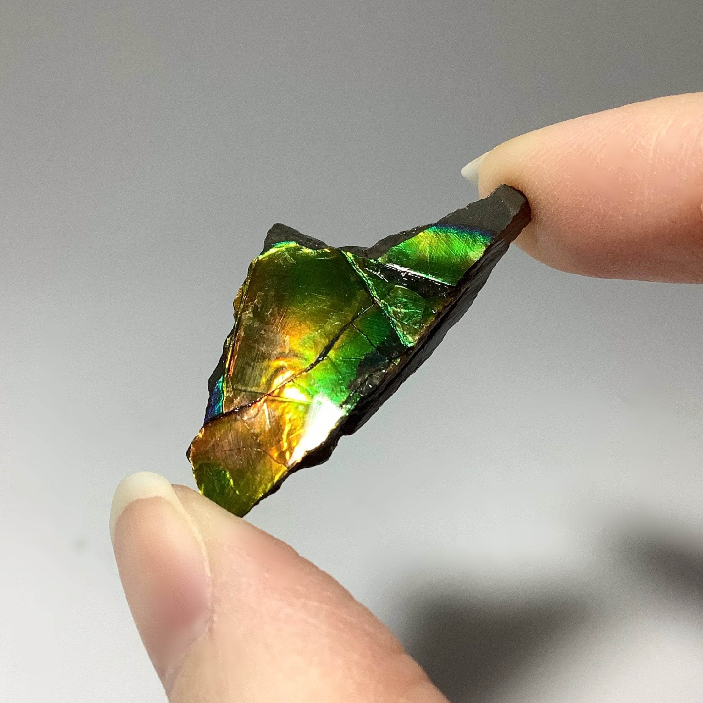 Ammolite - Rocks and Gems Canada