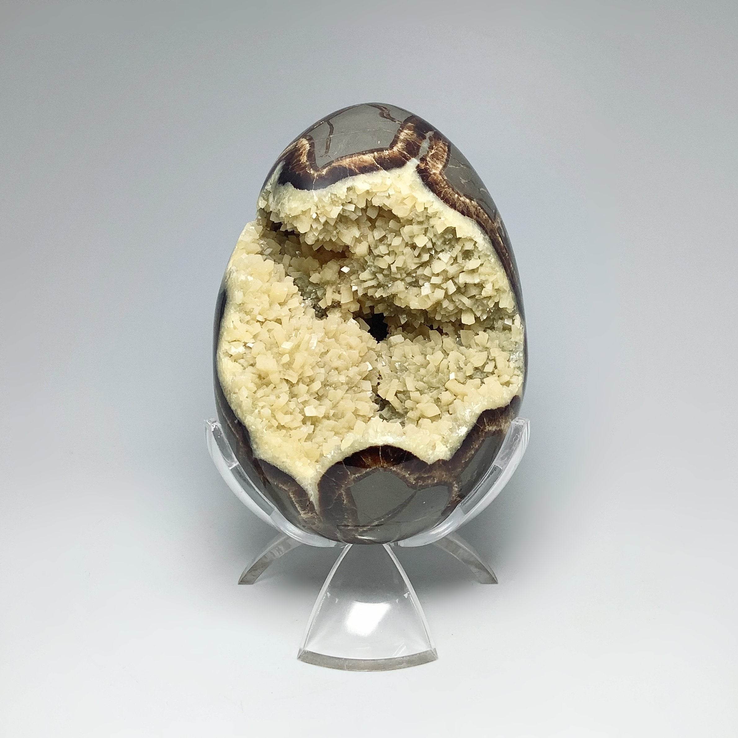 Septarian Nodules - Rocks and Gems Canada