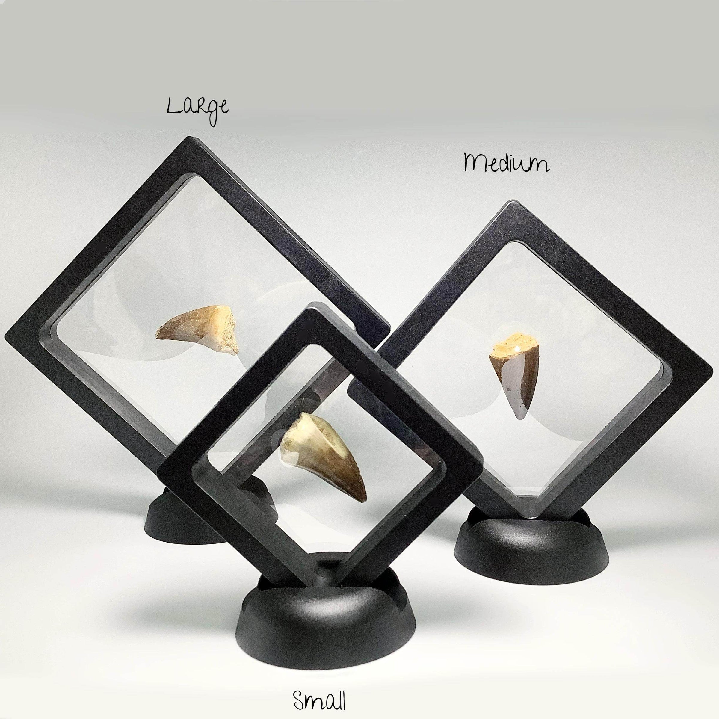 Plastic Display Stands - Rocks and Gems Canada