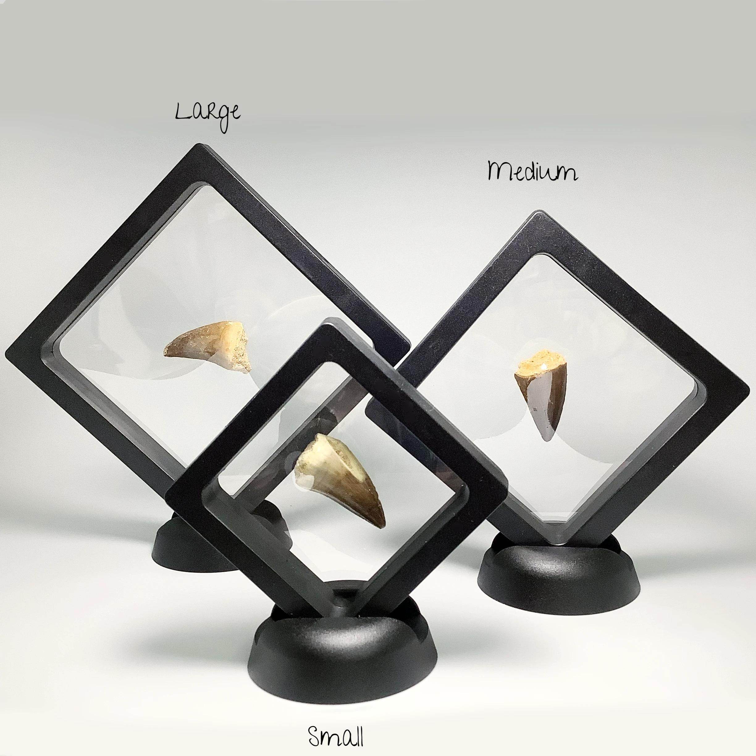 Plastic Display Stands - Rocks and Gems Canada
