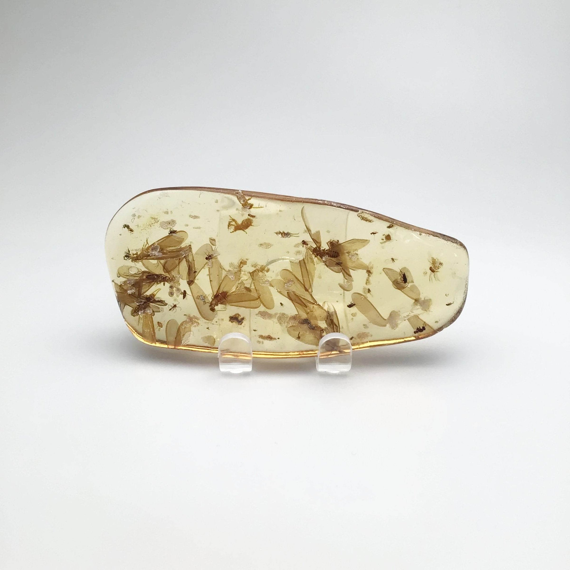 Copal - Rocks and Gems Canada