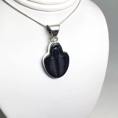 Trilobite Jewellery