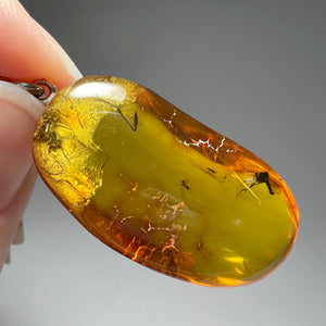 Amber with Insect Inclusion