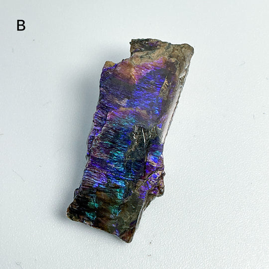 Ammolite Specimen