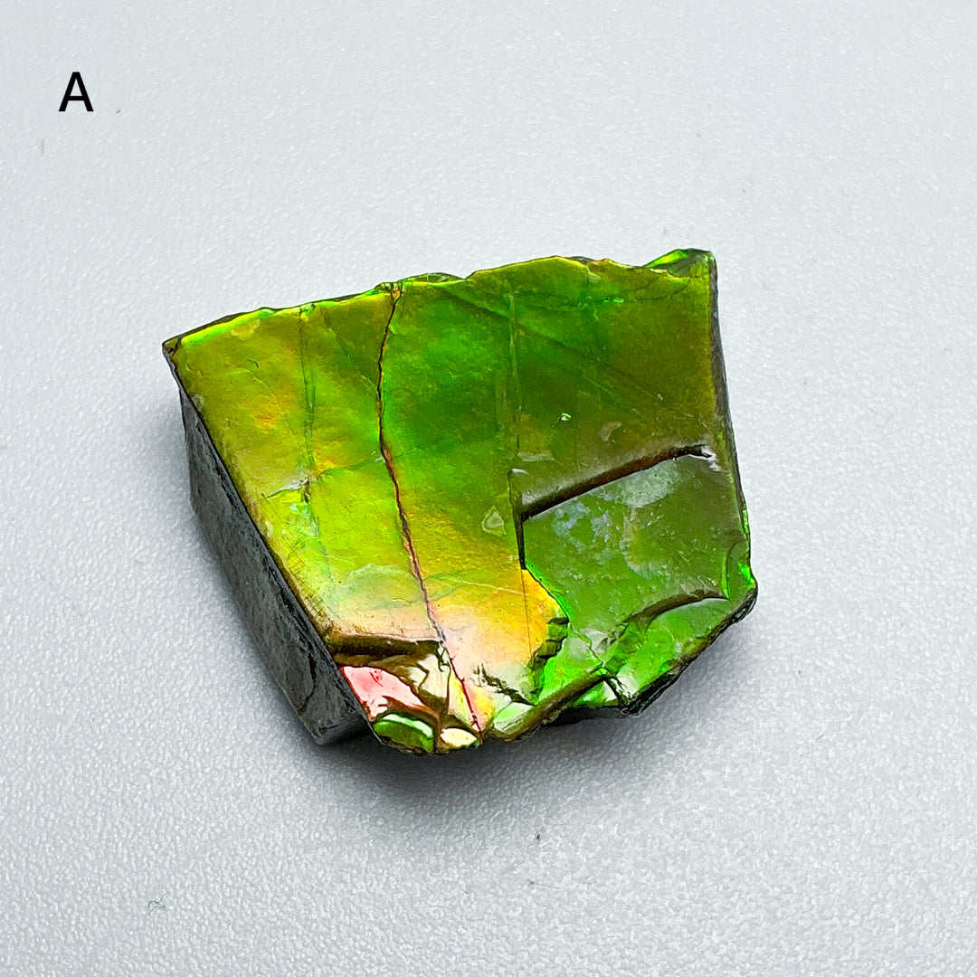 Ammolite Specimen