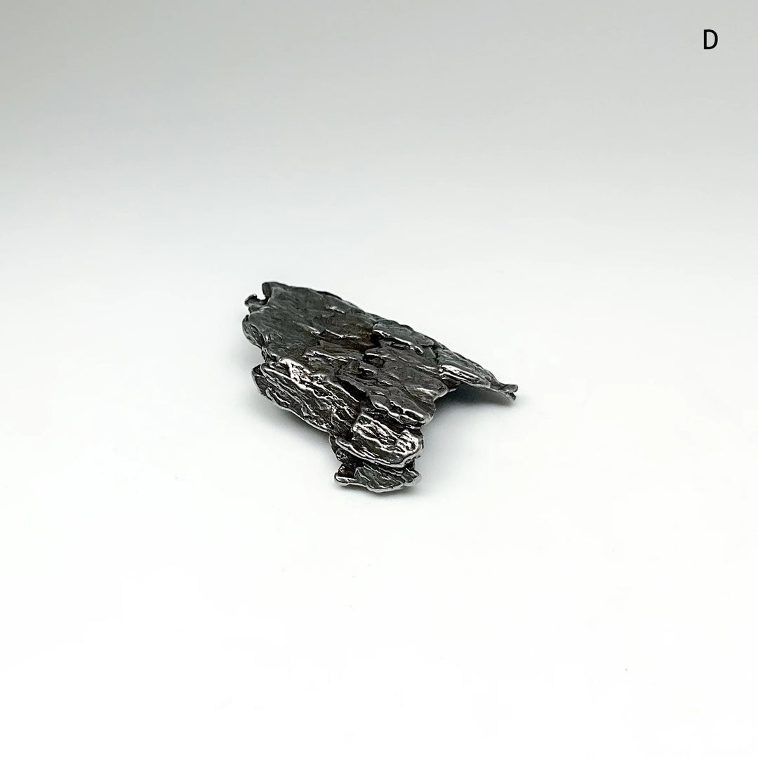 Campo Del Cielo Meteorite