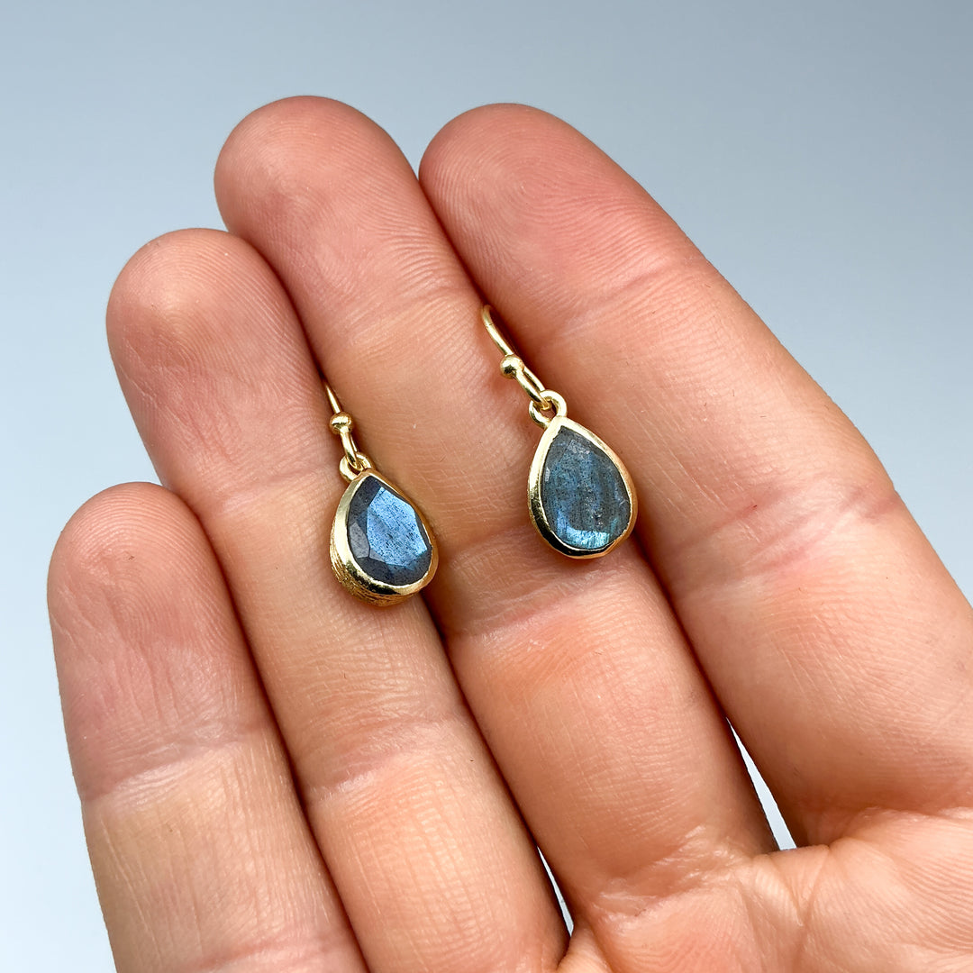 Labradorite Dangle Earrings