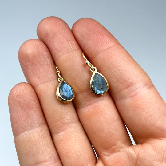 Labradorite Dangle Earrings