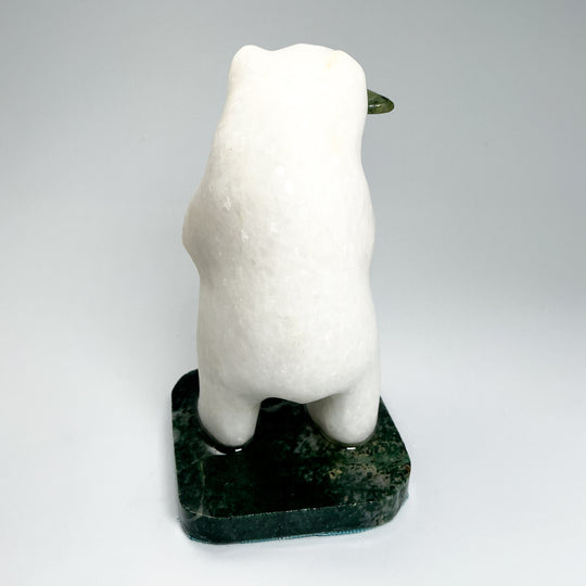 Star Marble Bear with BC Jade Fish Carving on Base