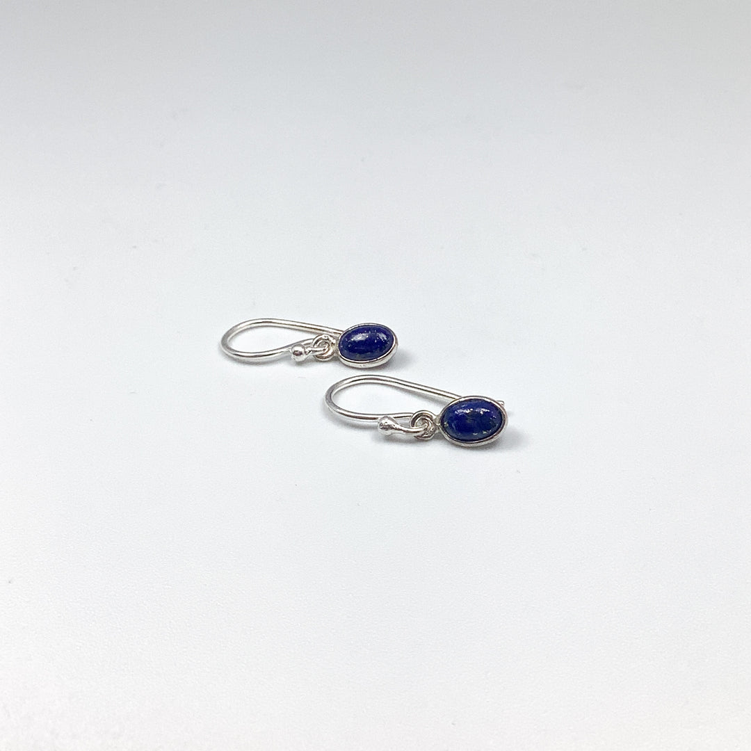 Lapis Lazuli Dangle Earrings - Rocks and Gems Canada