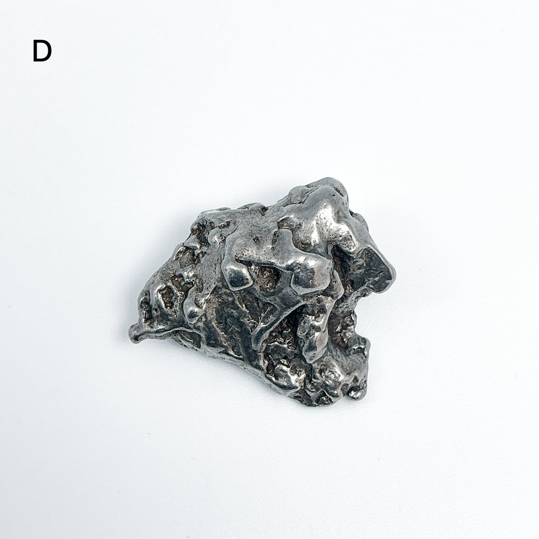 Campo Del Cielo Meteorite