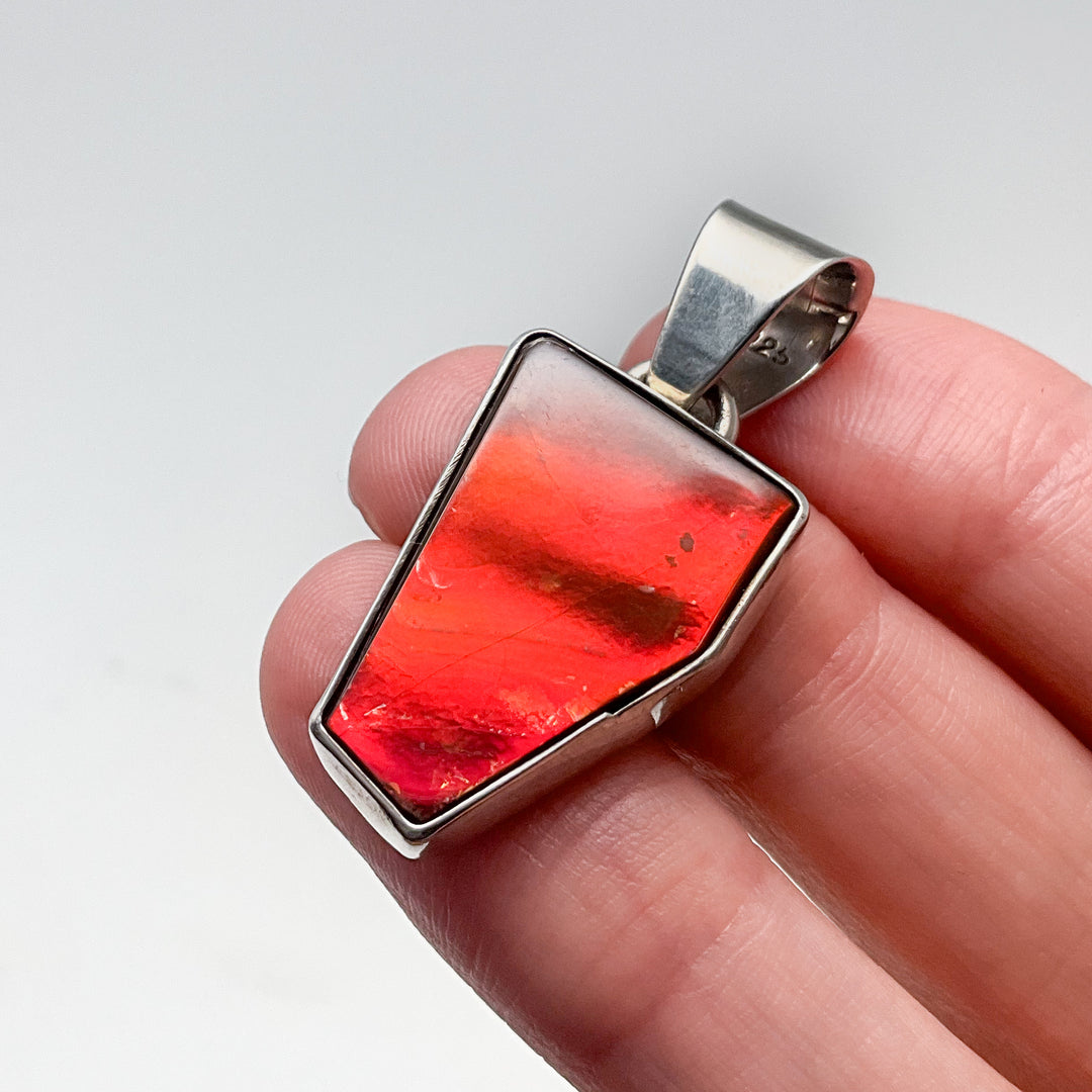 Alberta Ammolite Pendant