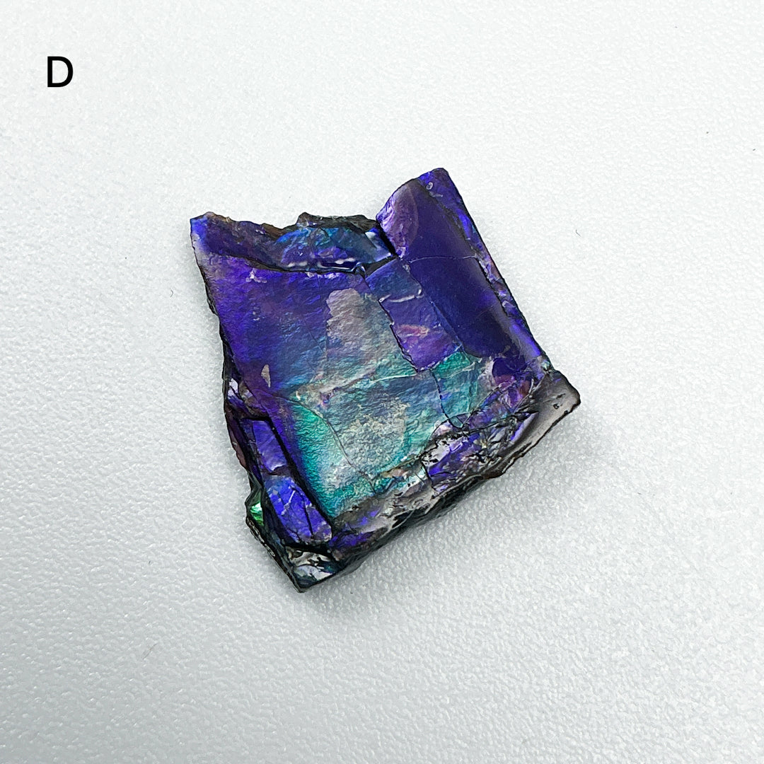Ammolite Specimen
