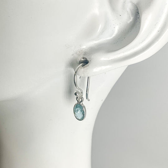 Aquamarine Dangle Earrings
