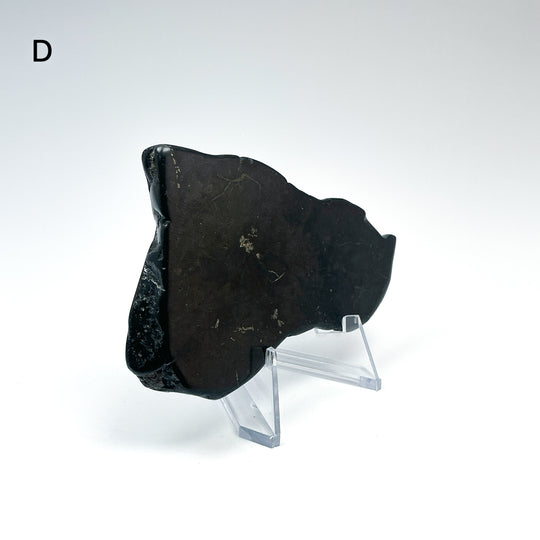Shungite Slice - Rocks and Gems Canada