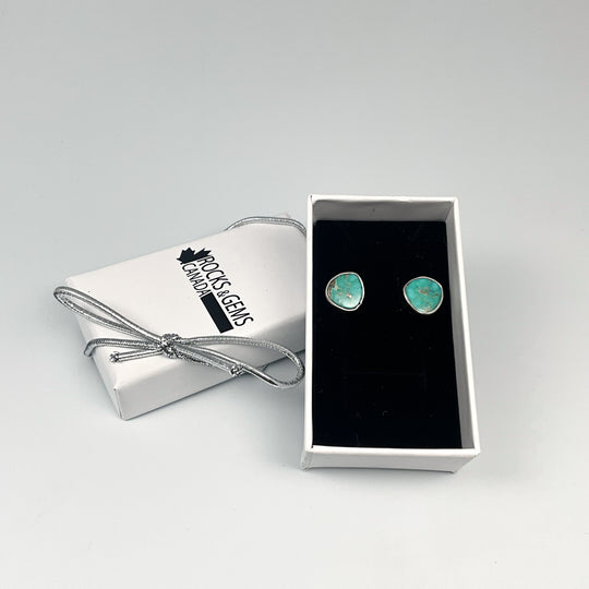 Turquoise Stud Earrings