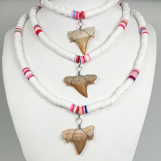 Fossilized Shark Tooth Necklace - Rocks and Gems Canada