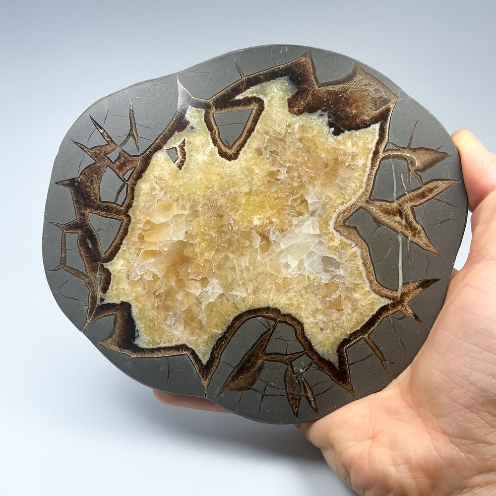Septarian Slab