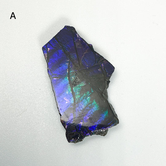 Ammolite Specimen