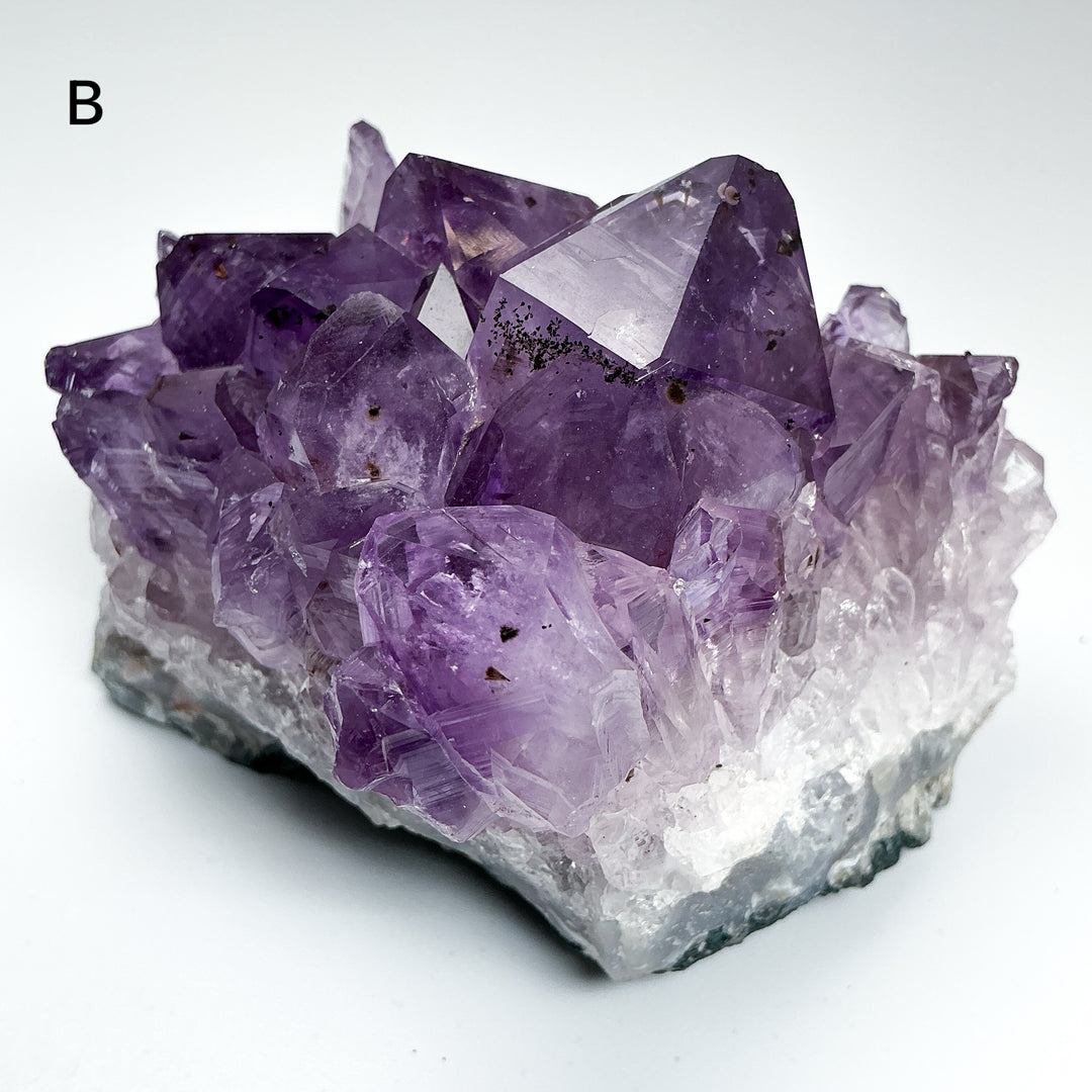 Amethyst Druze Cluster