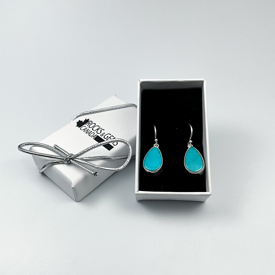 Turquoise Dangle Earrings