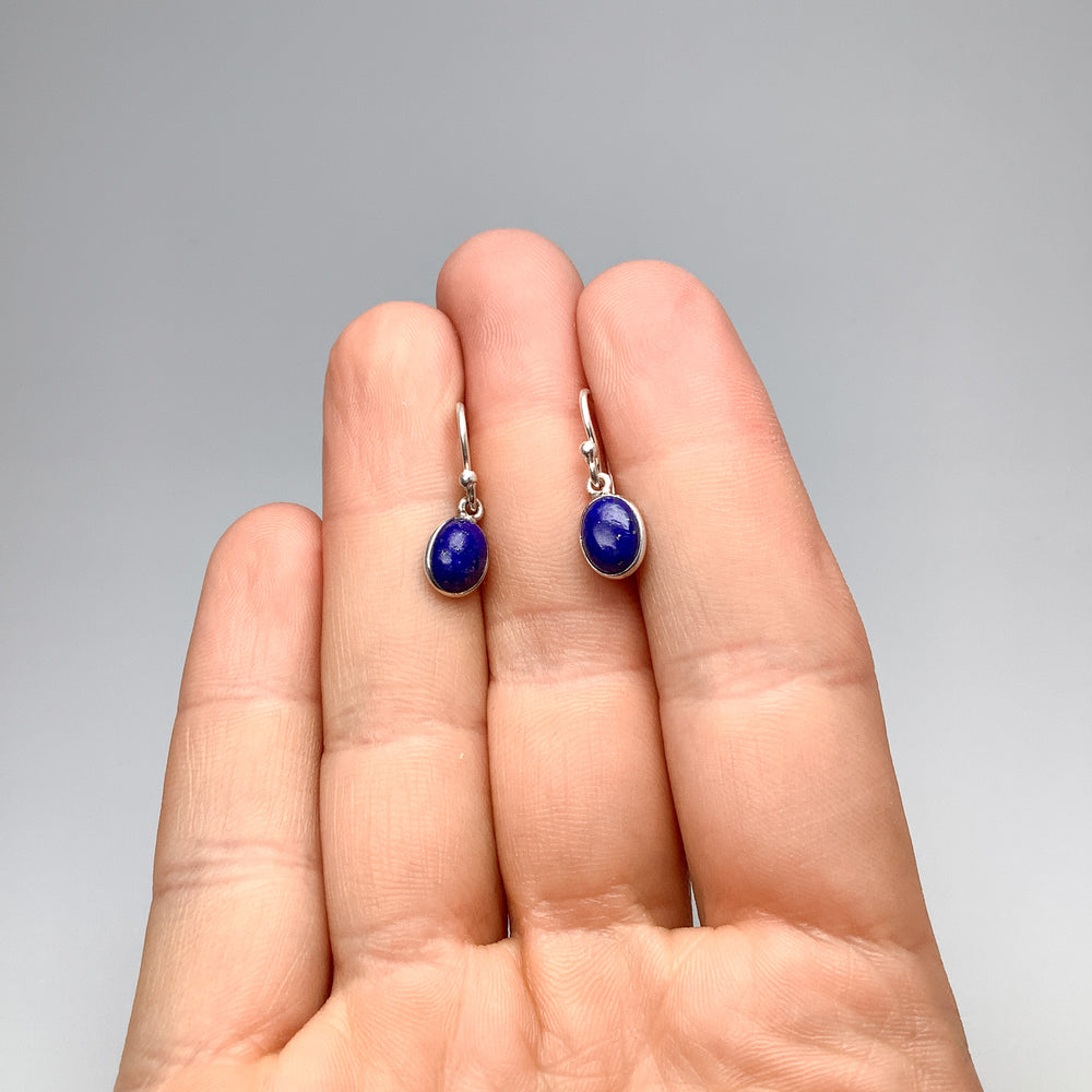 Lapis Lazuli Dangle Earrings - Rocks and Gems Canada