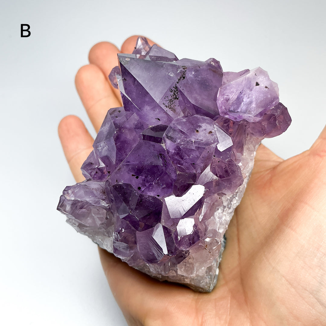 Amethyst Druze Cluster