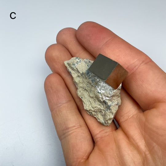 Iron Pyrite Cube in Matrix
