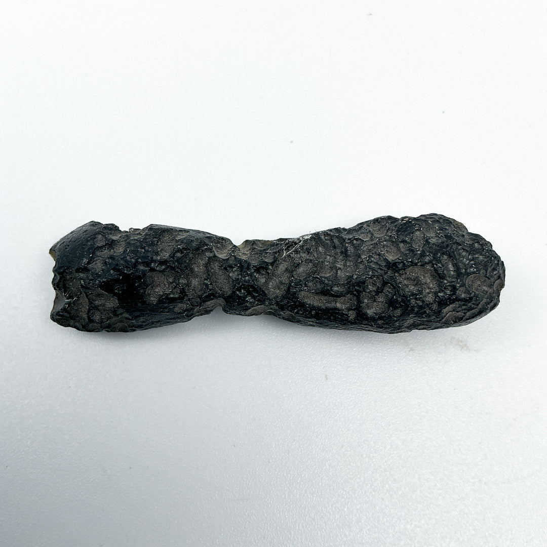 Black Tektite Specimen