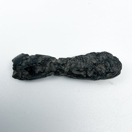 Black Tektite Specimen