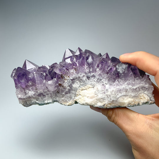 Amethyst Druze Cluster