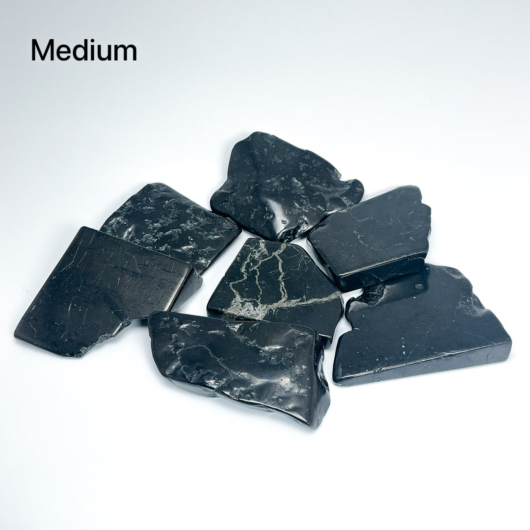 Shungite Slice - Rocks and Gems Canada