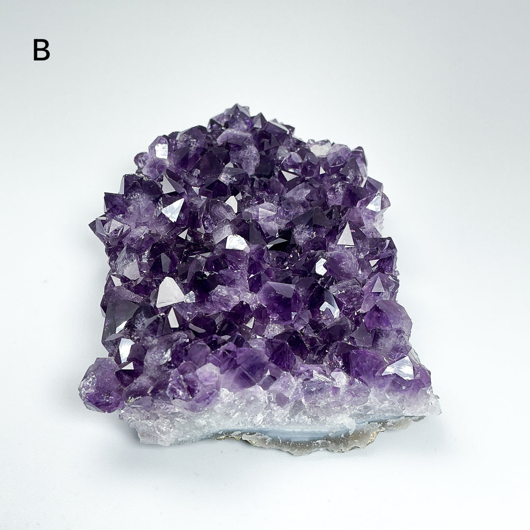 Amethyst Druze Cluster