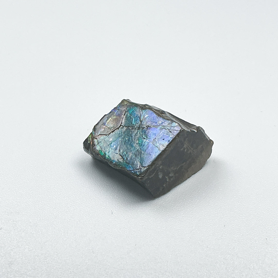 Ammolite Specimen
