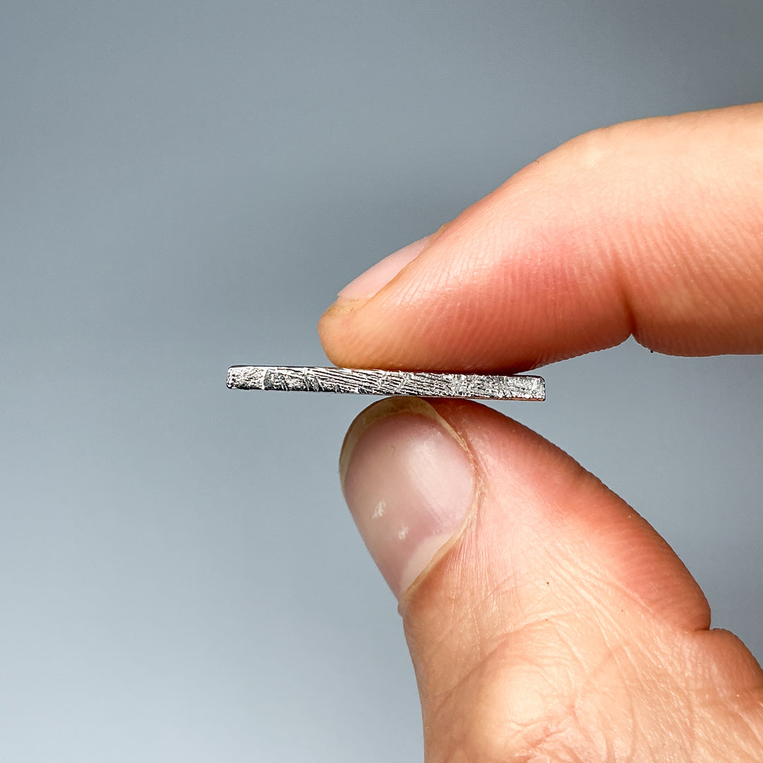 Muonionalusta Meteorite Slice
