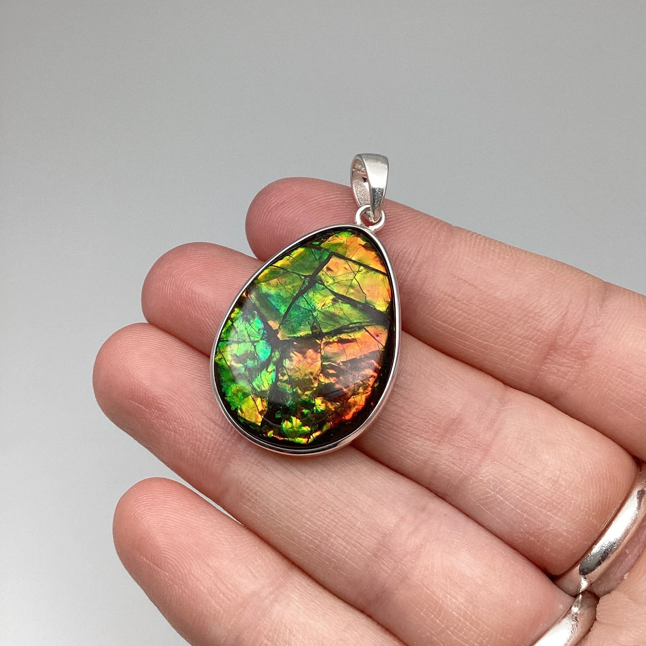 Alberta Ammolite Pendant - Rocks and Gems Canada