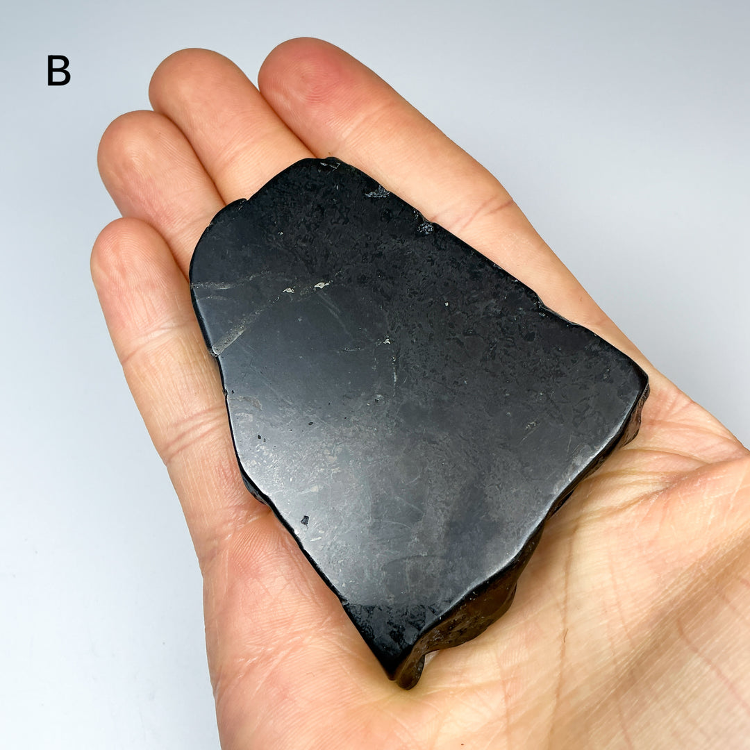 Shungite Slice - Rocks and Gems Canada