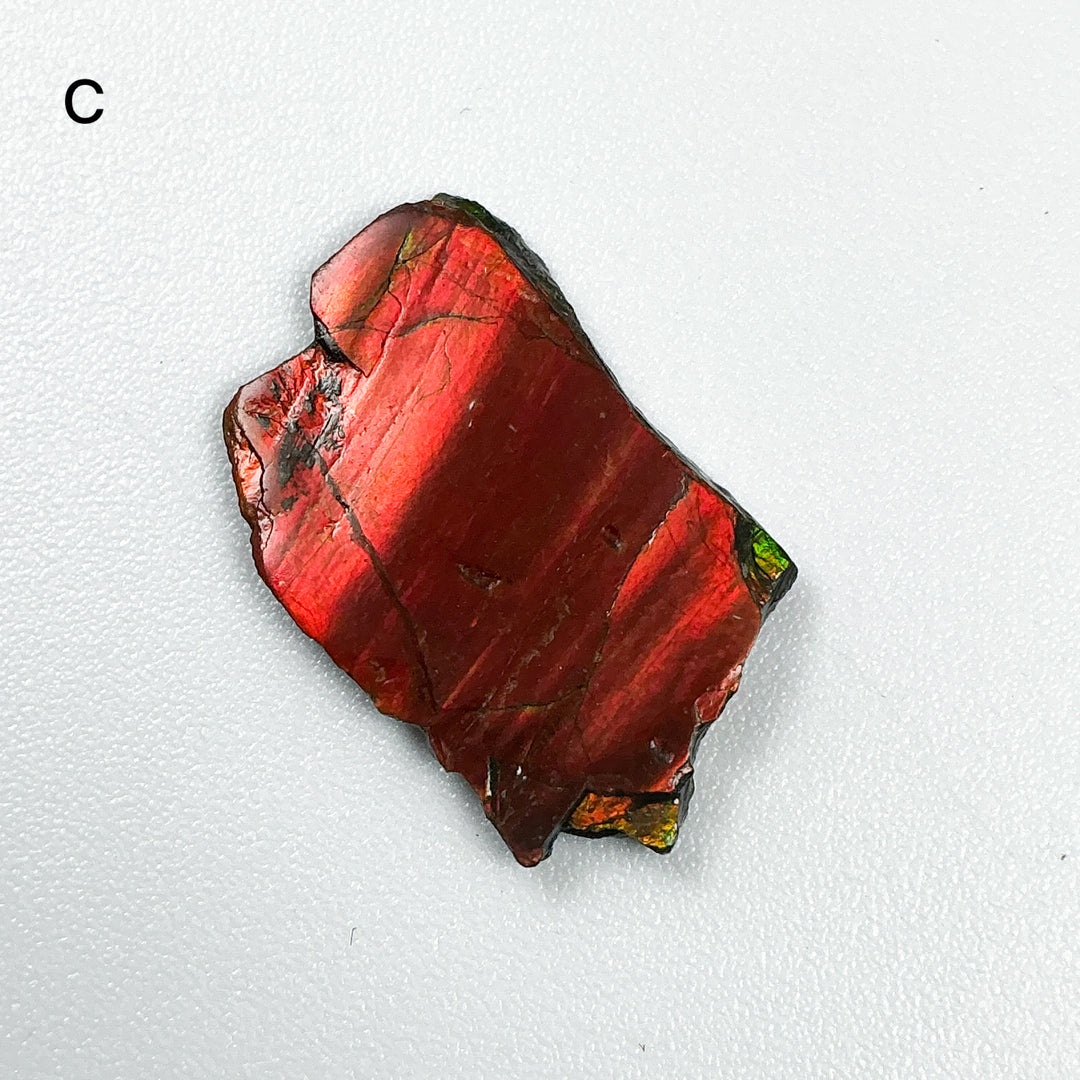 Ammolite Specimen