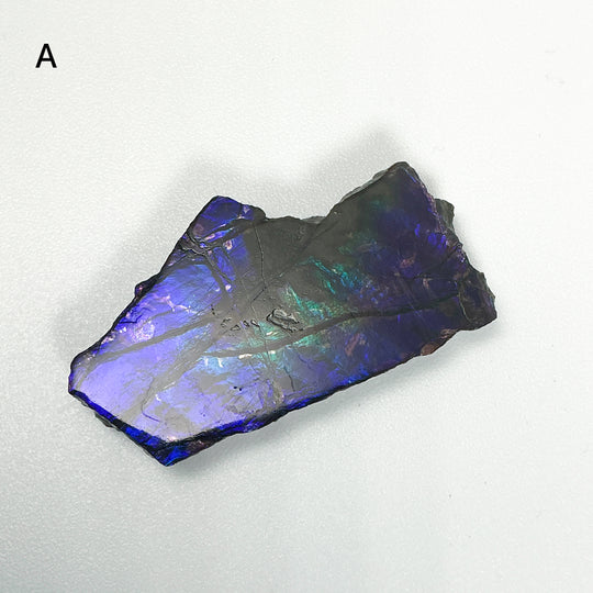 Ammolite Specimen