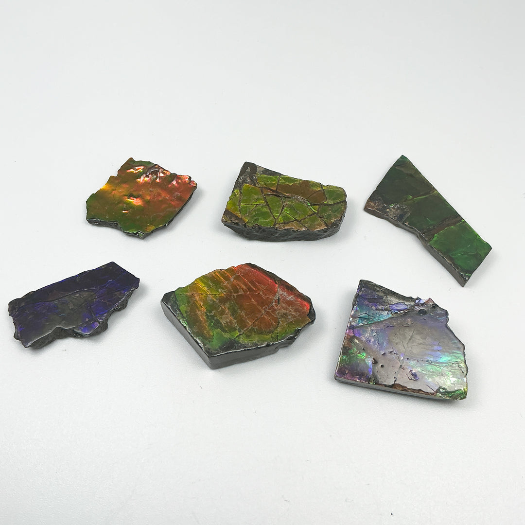 Ammolite Specimen