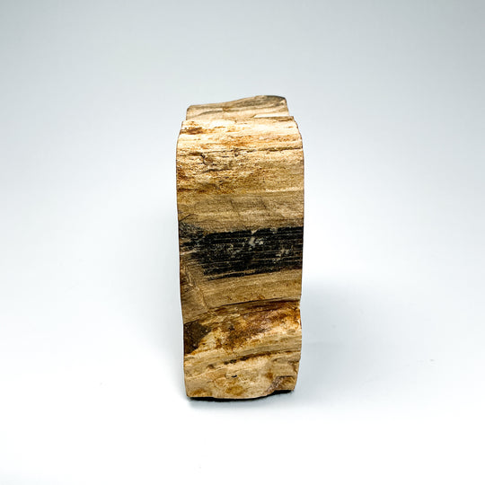 Petrified Wood Stand Up - Rocks and Gems Canada