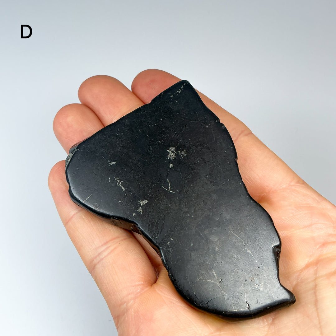 Shungite Slice - Rocks and Gems Canada