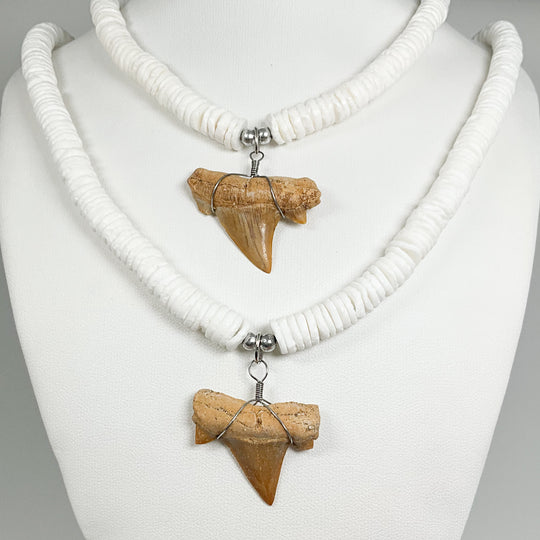 Fossilized Shark Tooth Necklace - Rocks and Gems Canada