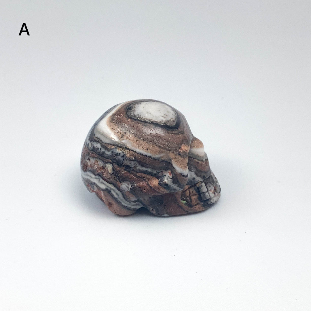 Carved Zebra Jasper Skull - Rocks and Gems Canada