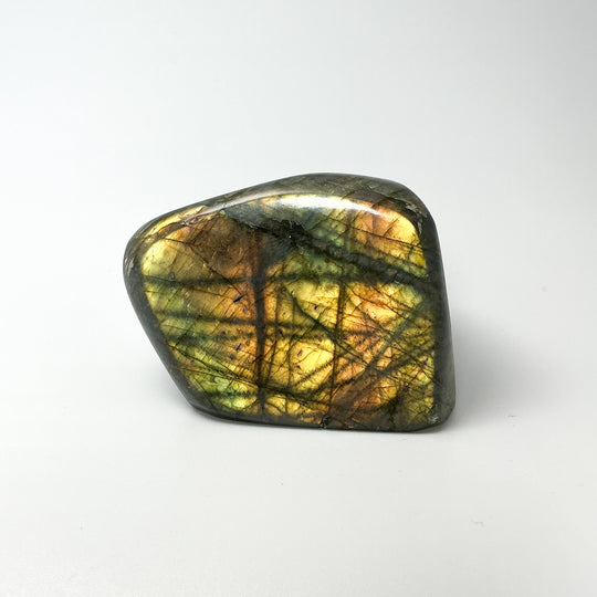 Labradorite Stand Up
