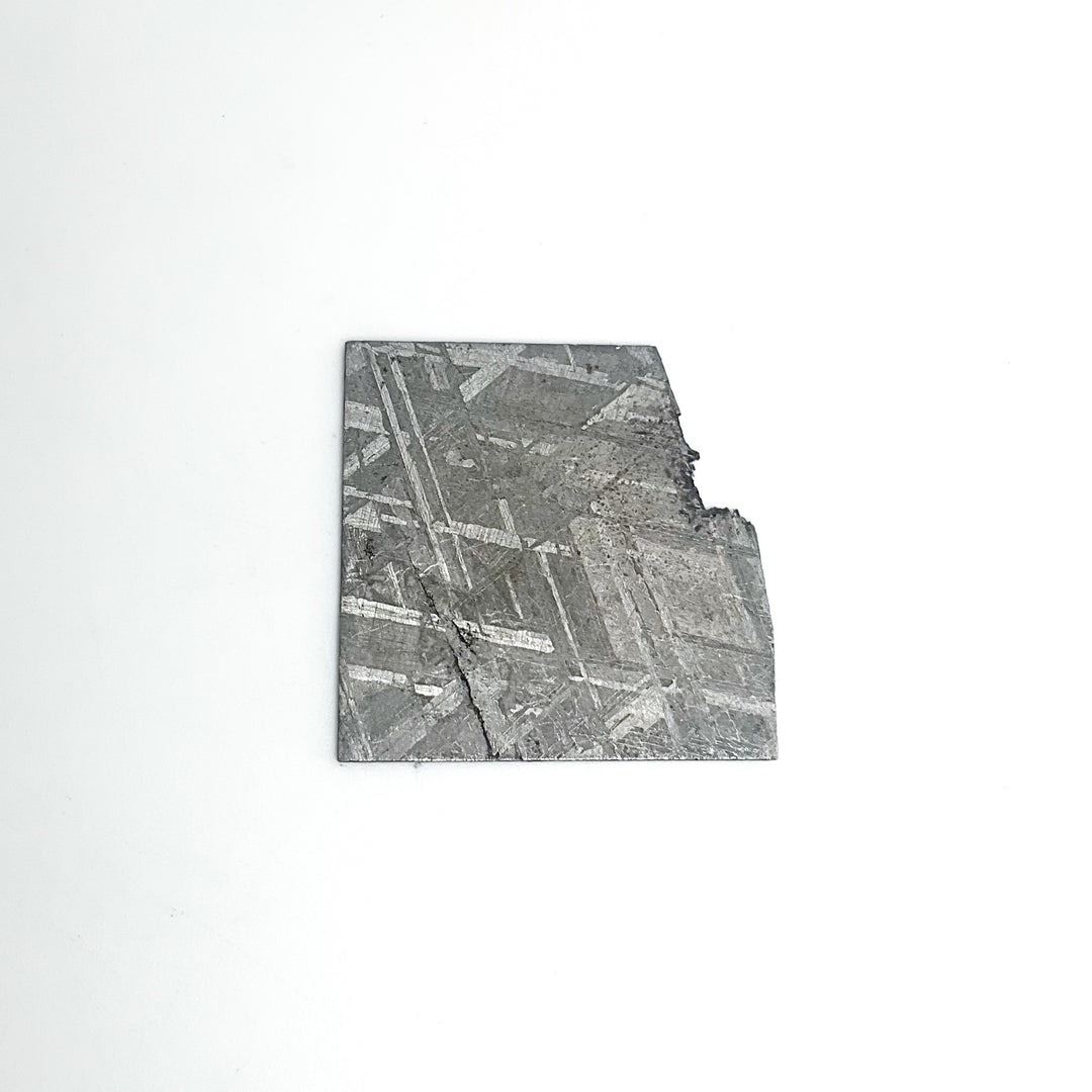 Muonionalusta Meteorite Slice