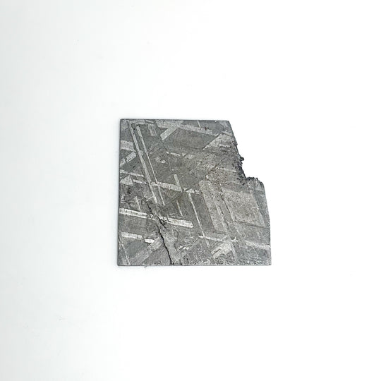 Muonionalusta Meteorite Slice